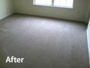 Carpet-Stretching-and-Repair-after